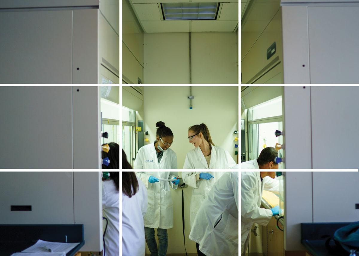 Students in a lab with a 9 cell grid on top of it