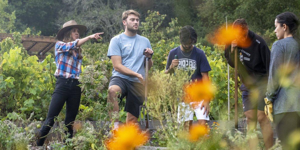 四名学生和可持续发展总监Ann Drevno在遗产花园，摄于2022年