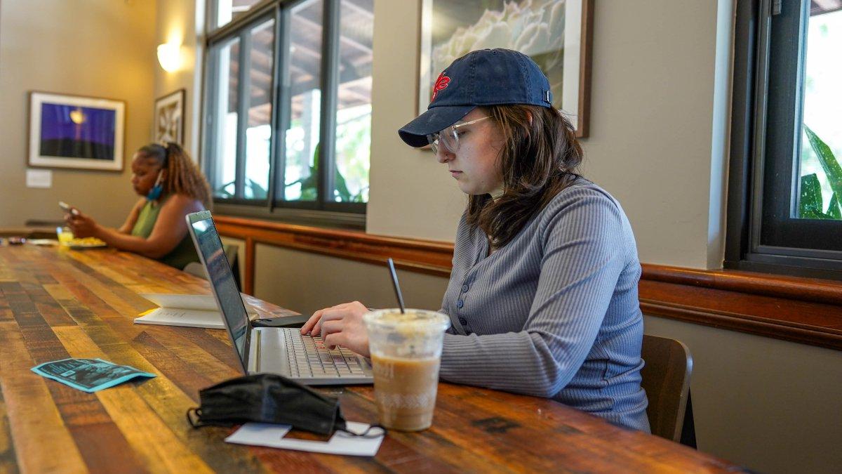 Saint Mary's Student Studying in Campus Cafe